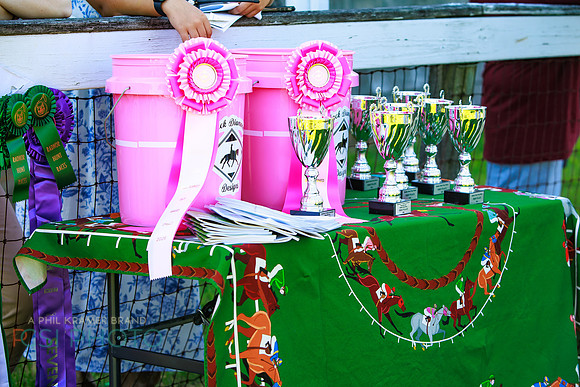 Rajant2026Radnor Hunt Races _0083