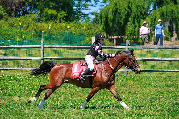 Rajant2026Radnor Hunt Races _0134