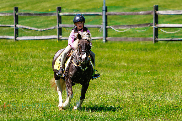 Rajant2026Radnor Hunt Races _0169