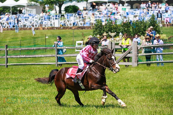 Rajant2026Radnor Hunt Races _0167
