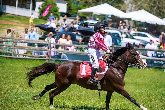 Rajant2026Radnor Hunt Races _0168