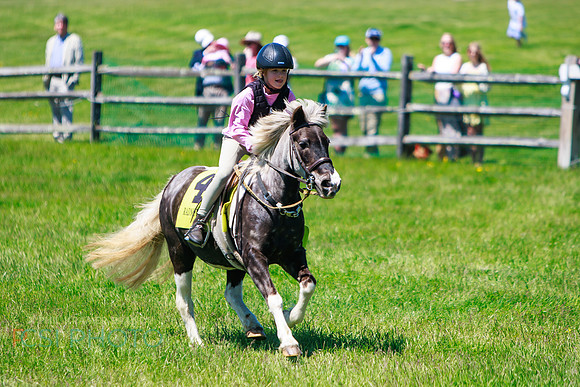 Rajant2026Radnor Hunt Races _0170