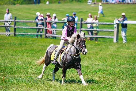 Rajant2026Radnor Hunt Races _0171