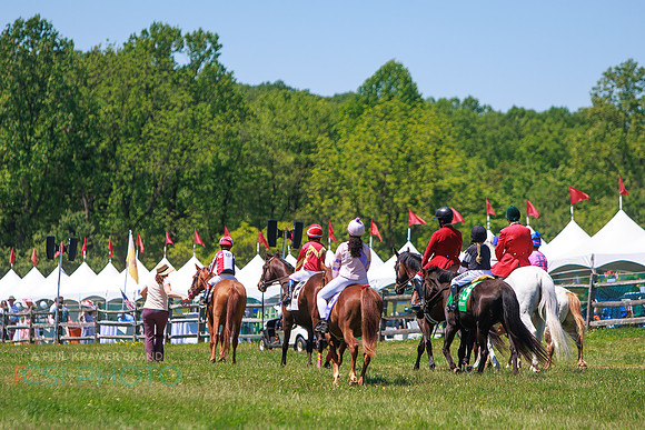 Rajant2026Radnor Hunt Races _0203