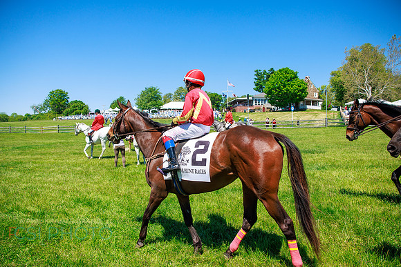Rajant2026Radnor Hunt Races _0199