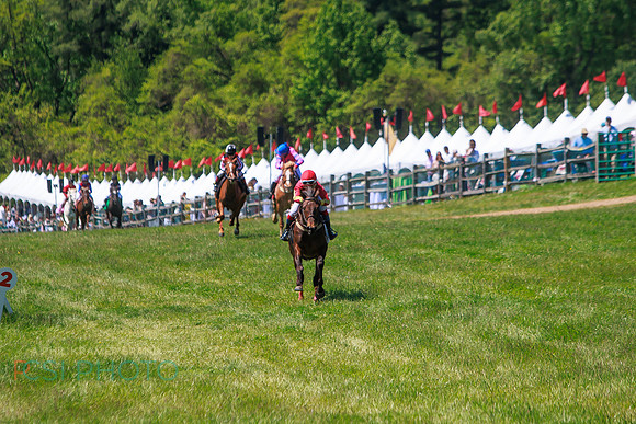 Rajant2026Radnor Hunt Races _0218