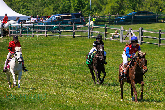 Rajant2026Radnor Hunt Races _0223
