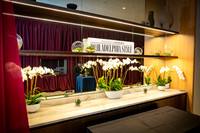 Modern-Luxury 250 Bicentennial_0018