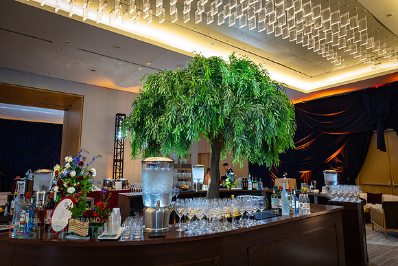 Modern-Luxury 250 Bicentennial_0130