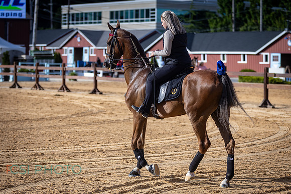 130th-Devon Horse Show Modern Luxury VIP Celebration_0072