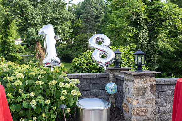 Graduation 2026 party_0080