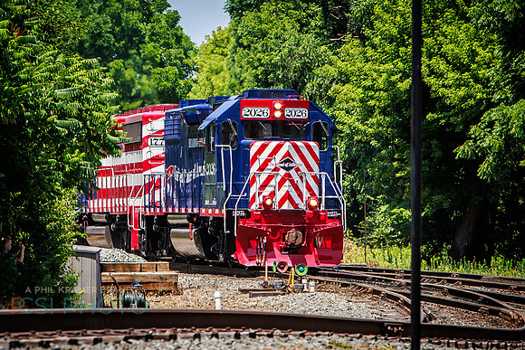 Big Boy 1014 Steam Train _0021