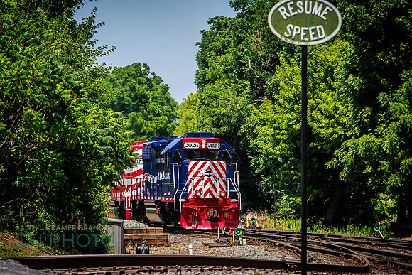 Big Boy 1014 Steam Train _0020