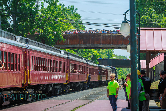 Big Boy 1014 Steam Train _0037