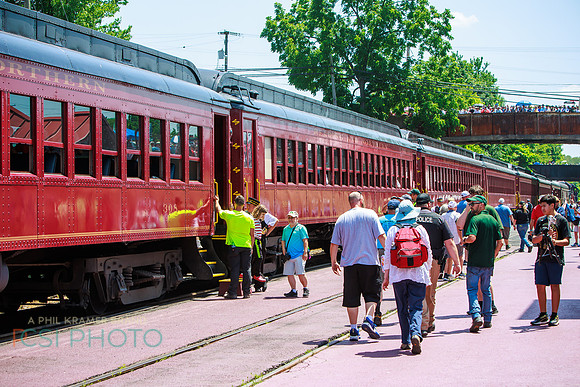 Big Boy 1014 Steam Train _0042