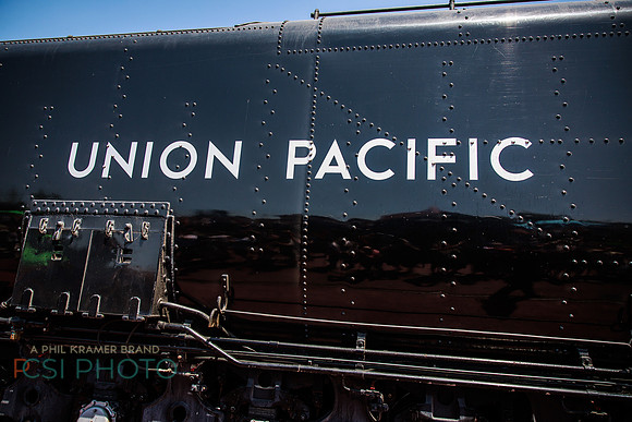 Big Boy 1014 Steam Train _0095