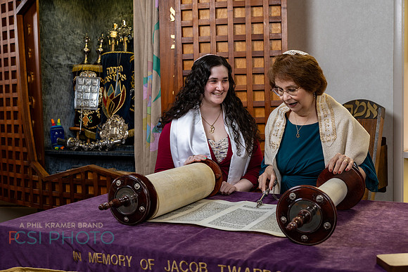 Dale Kramers Bat Mitzvah_0132