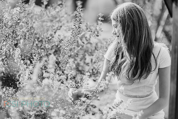 Heller_0276
