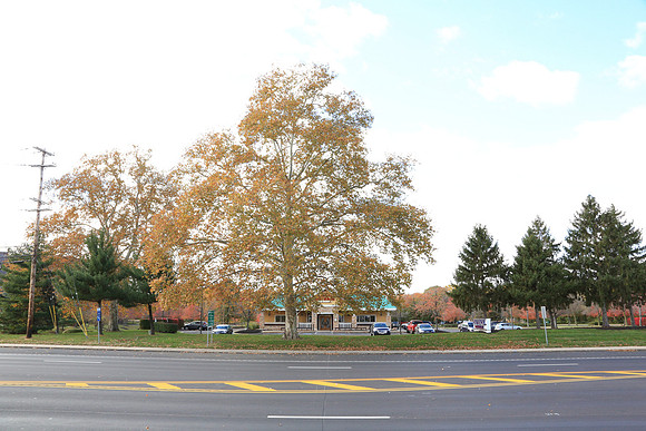 0069 OutbackConshohockenBensalem