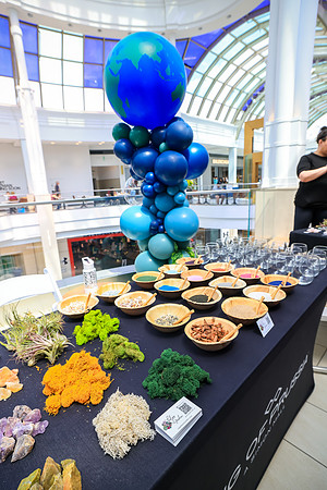 Earth Day Event at-KOP_0015