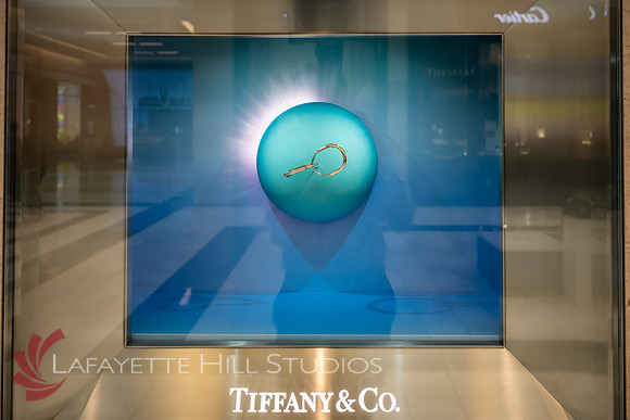 KPO Luxury Event pre-Flower Show_0038