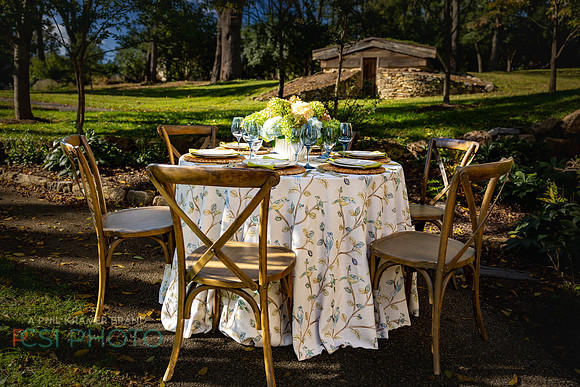 Beyond Tablescapes Duportail_0039