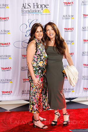 5th Annual Gala of Hope_0018