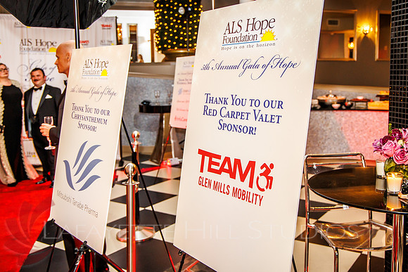 5th Annual Gala of Hope_0045