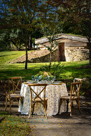 Beyond Tablescapes Duportail_0008