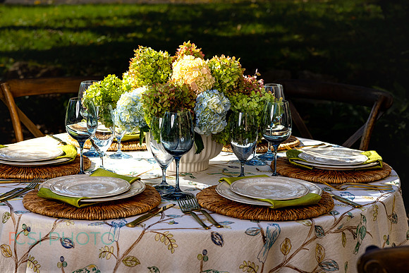 Beyond Tablescapes Duportail_0034