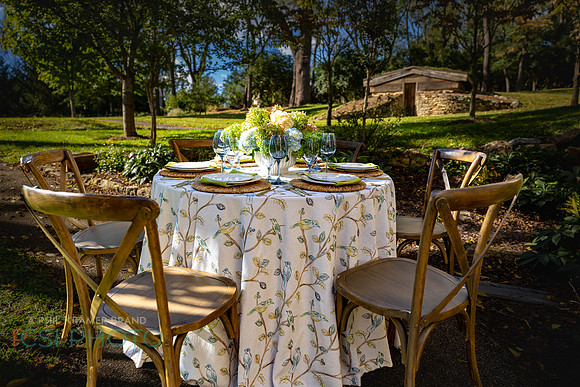 Beyond Tablescapes Duportail_0037