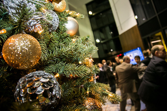 0041_PABioHolidayMixer2015