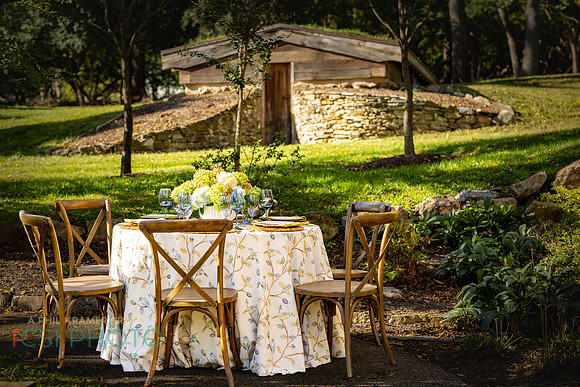 Beyond Tablescapes Duportail_0056