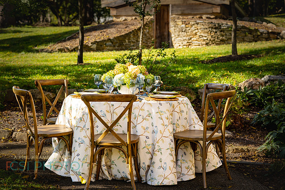 Beyond Tablescapes Duportail_0055