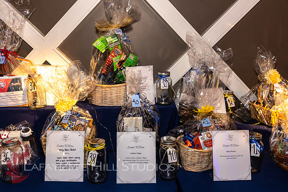 ALS Hope Foundation Gala-2025_0059