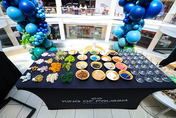 Earth Day Event at-KOP_0004