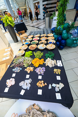 Earth Day Event at-KOP_0011