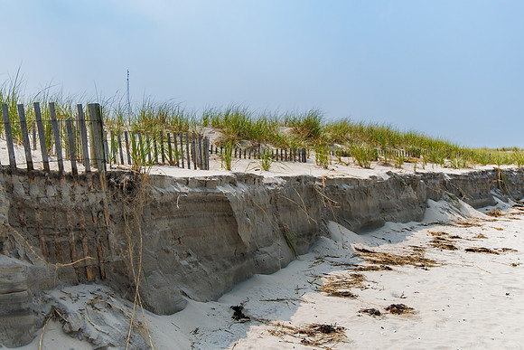 Shore-00012023_
