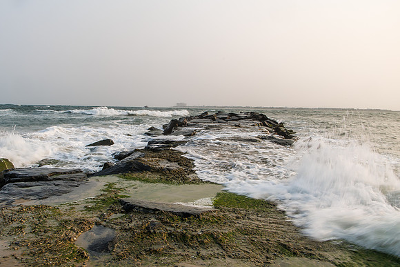 Shore-00622023_