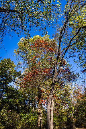 Northwales Park Fall 2024_0026