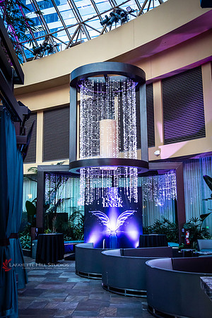 We Philly style the Pool PartyNj-jpg_0028
