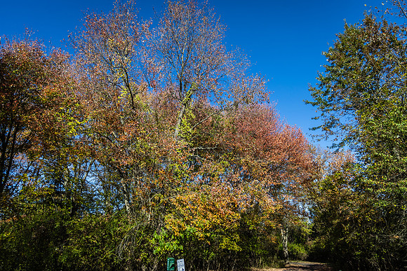 Northwales Park Fall 2024_0024