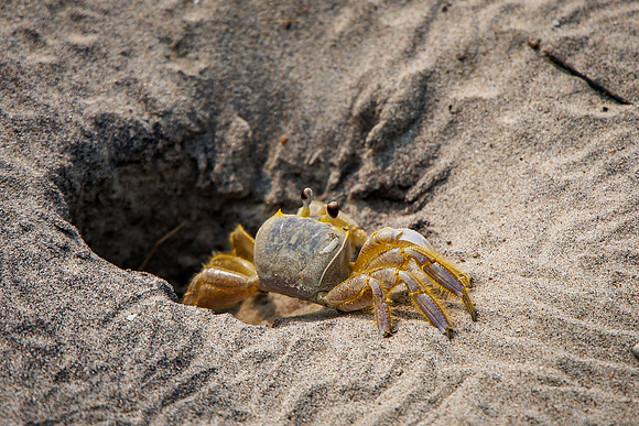 Shore-00152023_