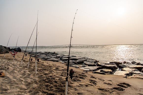 Shore-00602023_