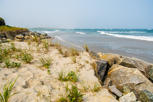 Shore-00292023_