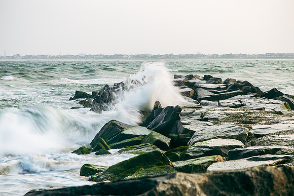Shore-00842023_