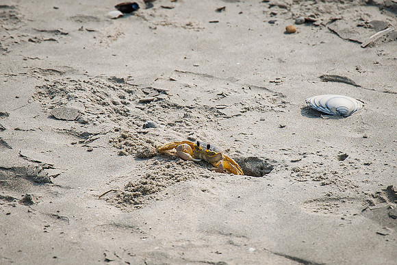 Shore-00032023_