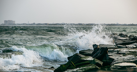 Shore-00812023_