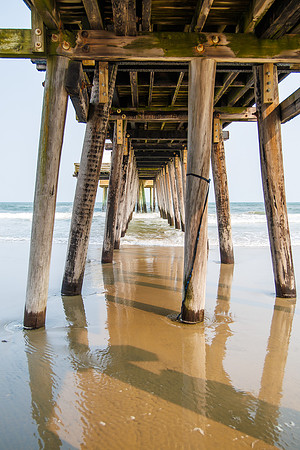 Shore-00322023_