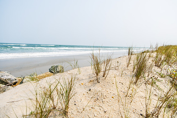 Shore-00282023_